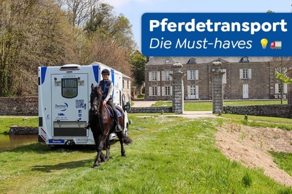 Pferdetransport: Das Wichtigste für eine sichere Reise