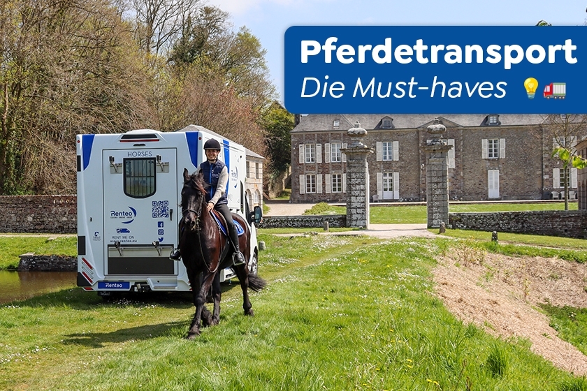 Pferdetransport: Das Wichtigste für eine sichere Reise