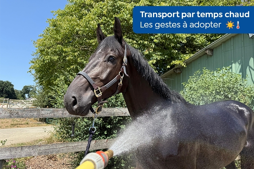 Fortes chaleurs : nos conseils pour le transport